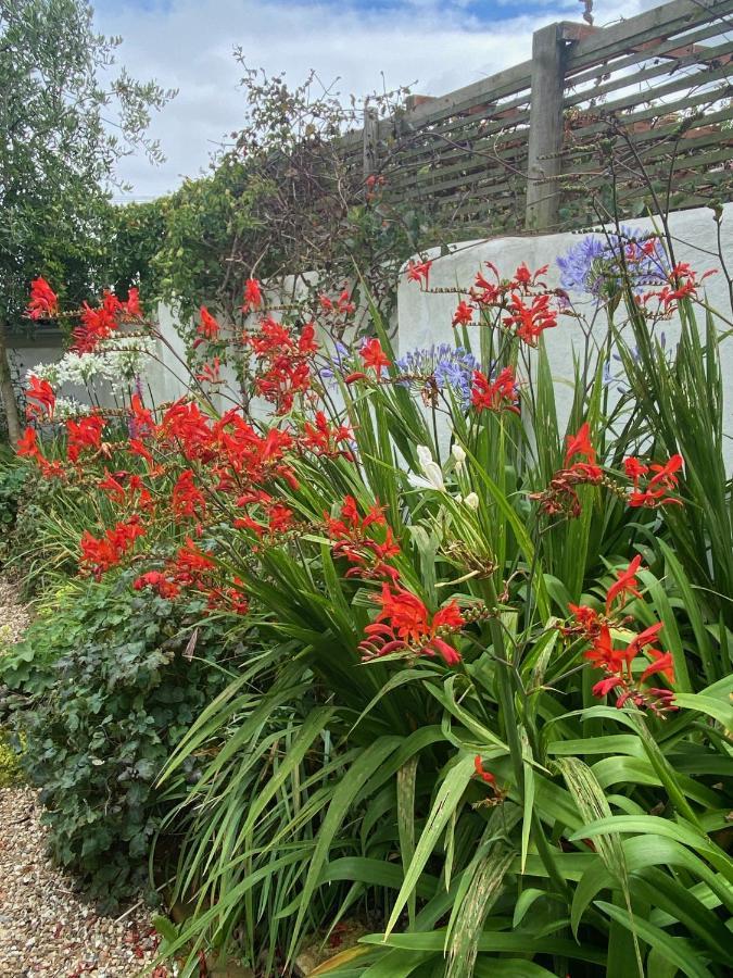 Penwyth House Bed & Breakfast Newquay  Luaran gambar