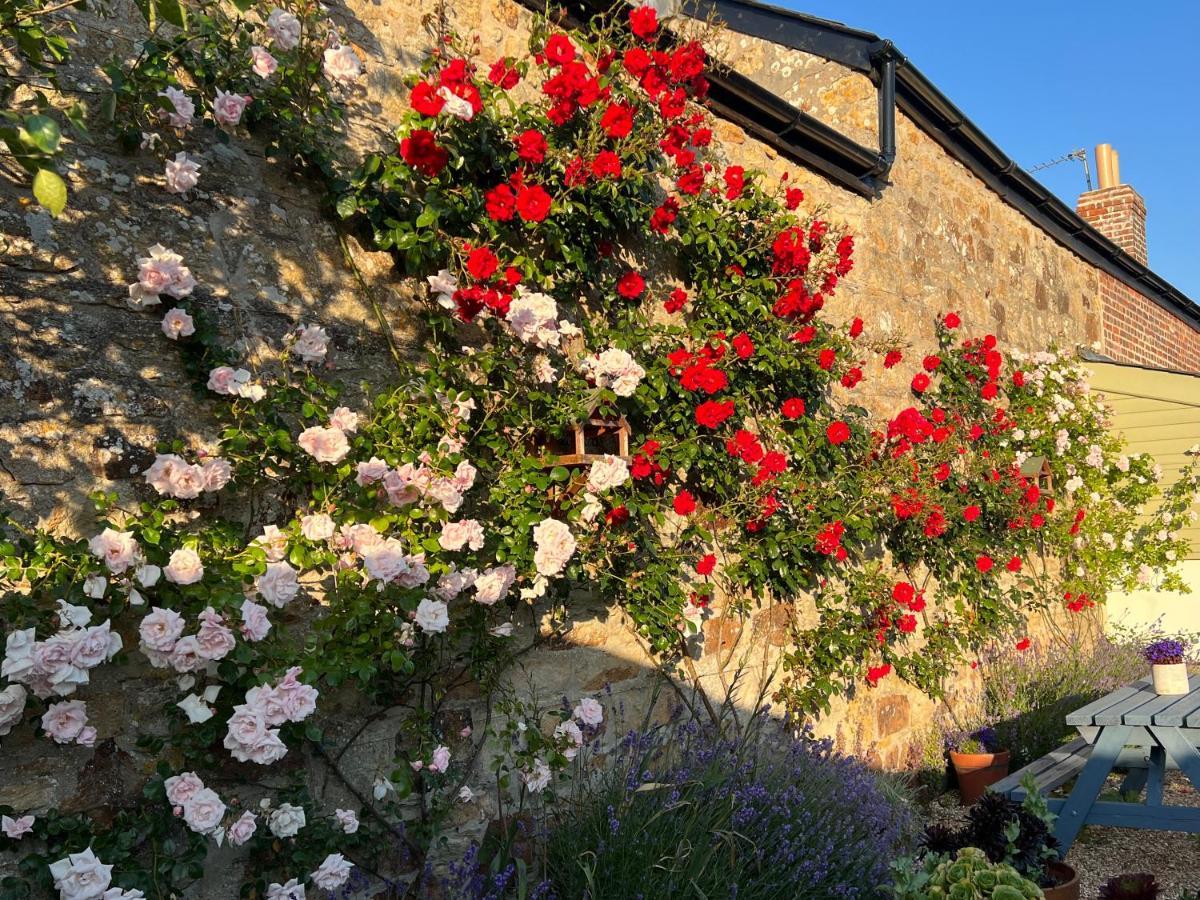Penwyth House Bed & Breakfast Newquay  Luaran gambar