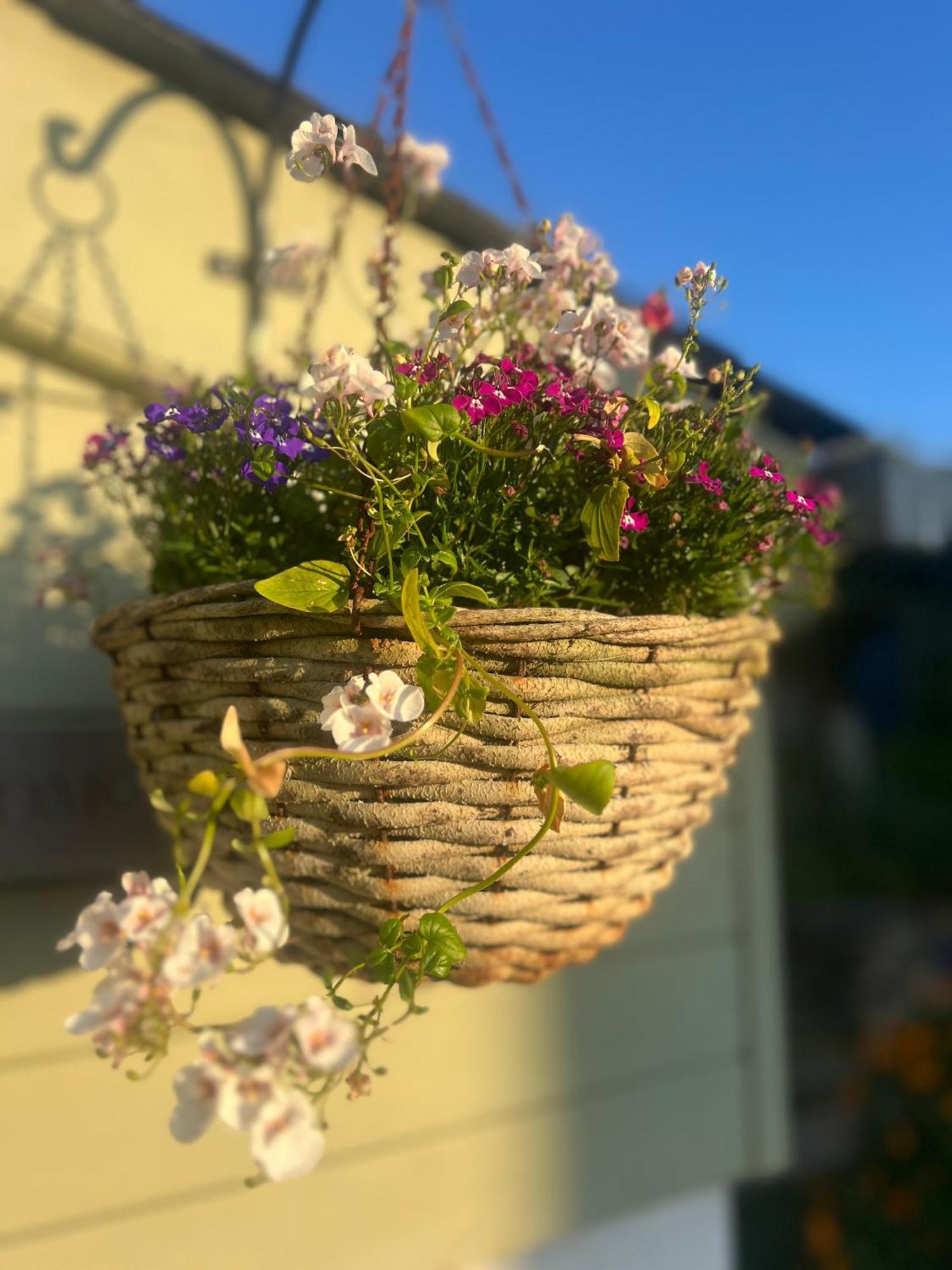 Penwyth House Bed & Breakfast Newquay  Luaran gambar